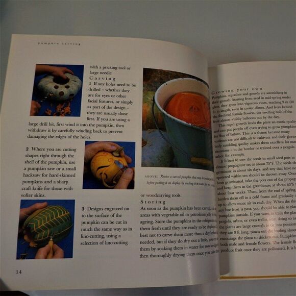 Pumpkin Carving Book How to Create Glowing Autumn Gourds 1996 Hardcover - Picture 6 of 11